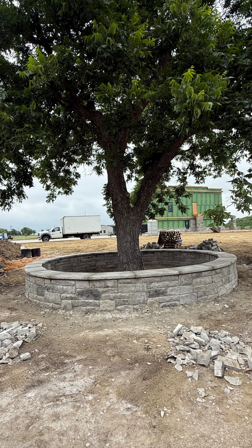 Stone Tree Ring